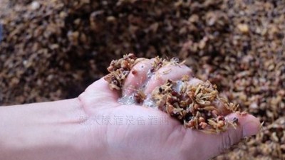 用小型燒酒設(shè)備蒸酒時(shí)，酒醅含水量也會(huì)影響白酒口感和出酒率？
