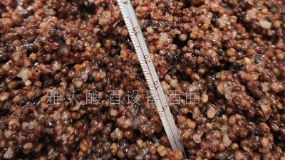做酒設(shè)備釀固態(tài)高粱酒控制好這5個(gè)溫度，出酒率瞬間提高！