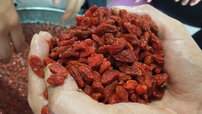 學會枸杞酒的三種常見釀酒技術(shù)，您就是釀酒高手！