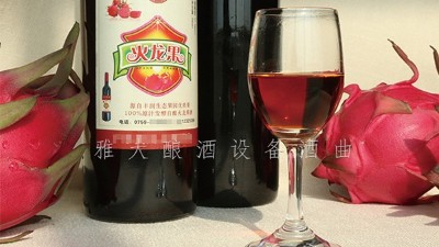 雅大釀酒設(shè)備廠家，果酒研發(fā)一年四季不打烊