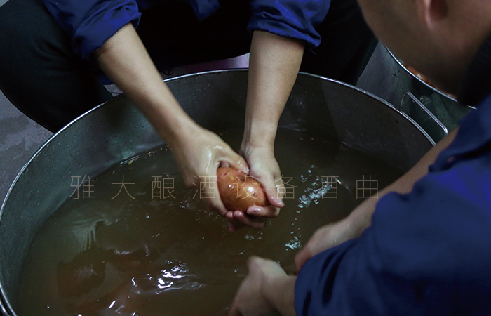 土豆釀酒技術-清洗