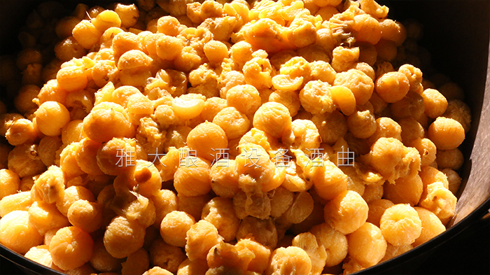 去皮皇帝柑釀酒技術(shù)-剝皮、加糖