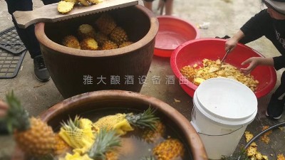 用果酒釀酒設(shè)備做菠蘿酒，簡單易學(xué)，只需簡單幾步。