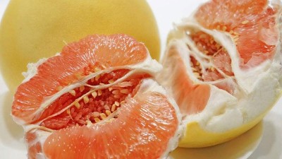 柚子酒怎么做？釀造柚子酒的全套釀酒設(shè)備價(jià)格貴不貴？