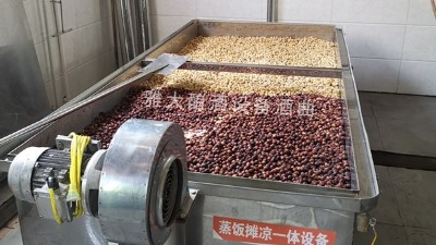 蓮子酒怎么做？11步教您用小型酒廠釀酒設備做出美味蓮子酒