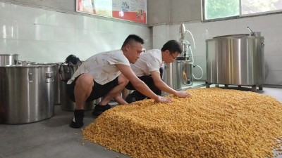 零基礎(chǔ)用做酒設(shè)備釀酒，必須要掌握糖化和酒化的6大要點(diǎn)！