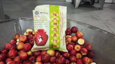 龍豐果酒怎么釀？雅大小型酒廠釀酒設備現(xiàn)場教您釀！