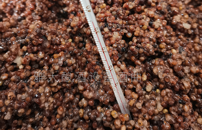 7.10高粱釀酒技術-溫度控制