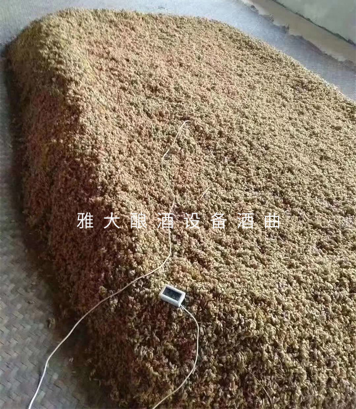 7.10高粱釀酒技術-低溫入窖