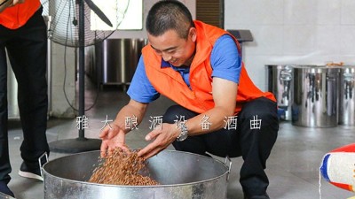 11月，雅大迎來了釀酒實操教學小高峰，學員們擼起袖子加油干
